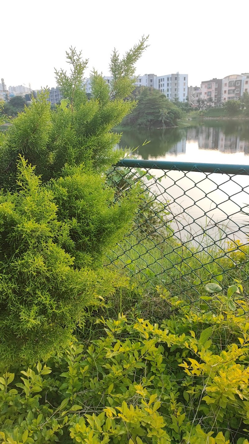 Yelachenahalli Annayyappana Kere - Yelachenahalli Annayyappana Kere Yelachenahalli Kere, Anuradha Industrial Estate, Yelachenahalli, Kumaraswamy Layout, Bengaluru, Karnataka 560111, India