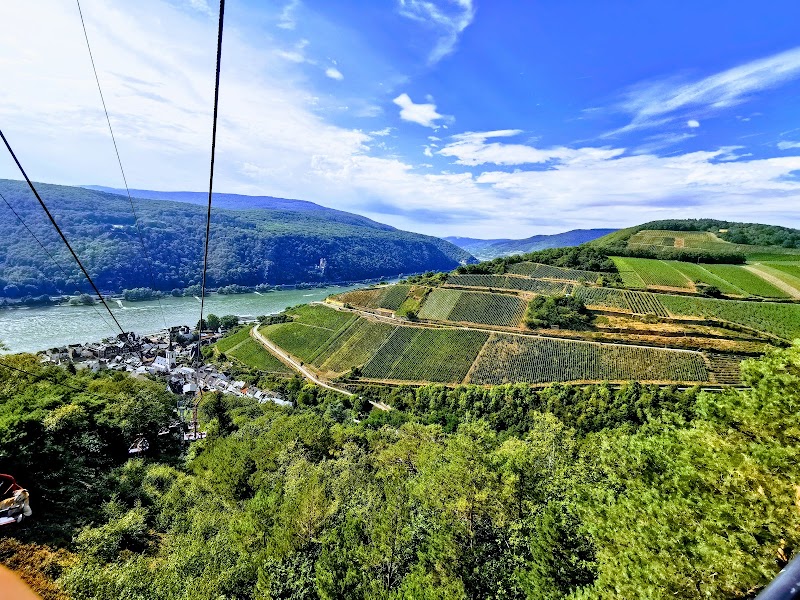 Niederwald in Rudesheim - Niederwald in Rudesheim, 65385 Rüdesheim am Rhein, Germany