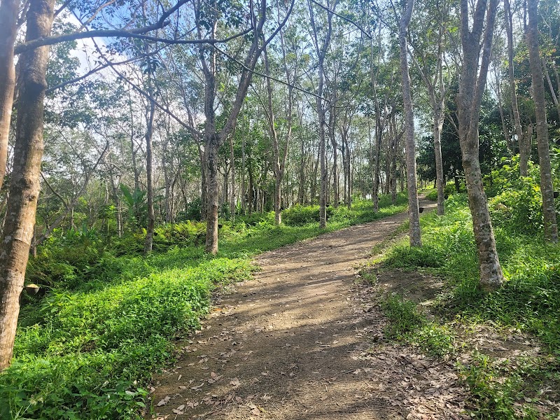 Big Buddha Hiking Trail - Big Buddha Hiking Trail ปฏัก, ซอย 14, Tambon Karon, Amphoe Mueang Phuket, Chang Wat Phuket 83100, Thailand