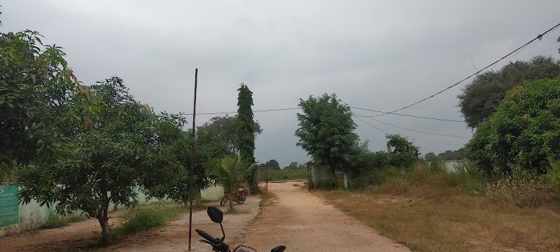 Salepali G.p office - Salepali G.p office, Gram Panchayat, Salepali, Odisha 767026, India