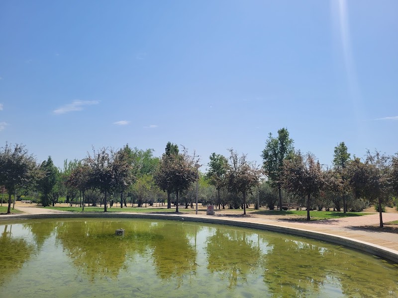 Golondrina Park - Golondrina Park, Unnamed Road, 28023, C. del Escultor Peresejo, 11, Moncloa - Aravaca, 28023 Madrid, Spain