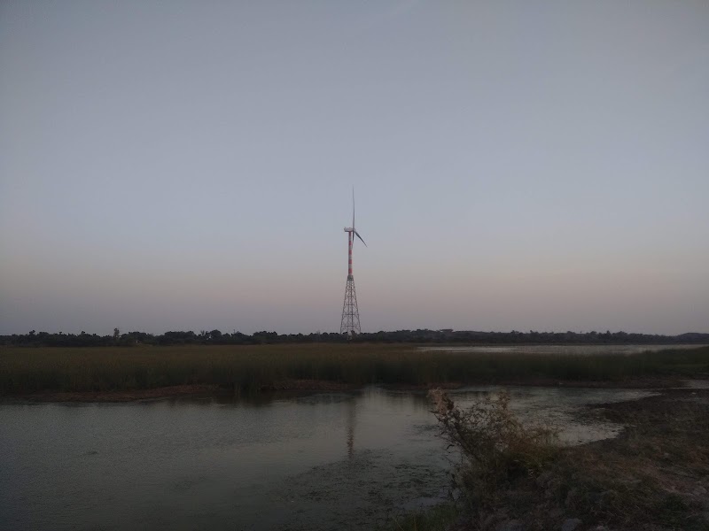 Naip - Naip, Gujarat 364290, India