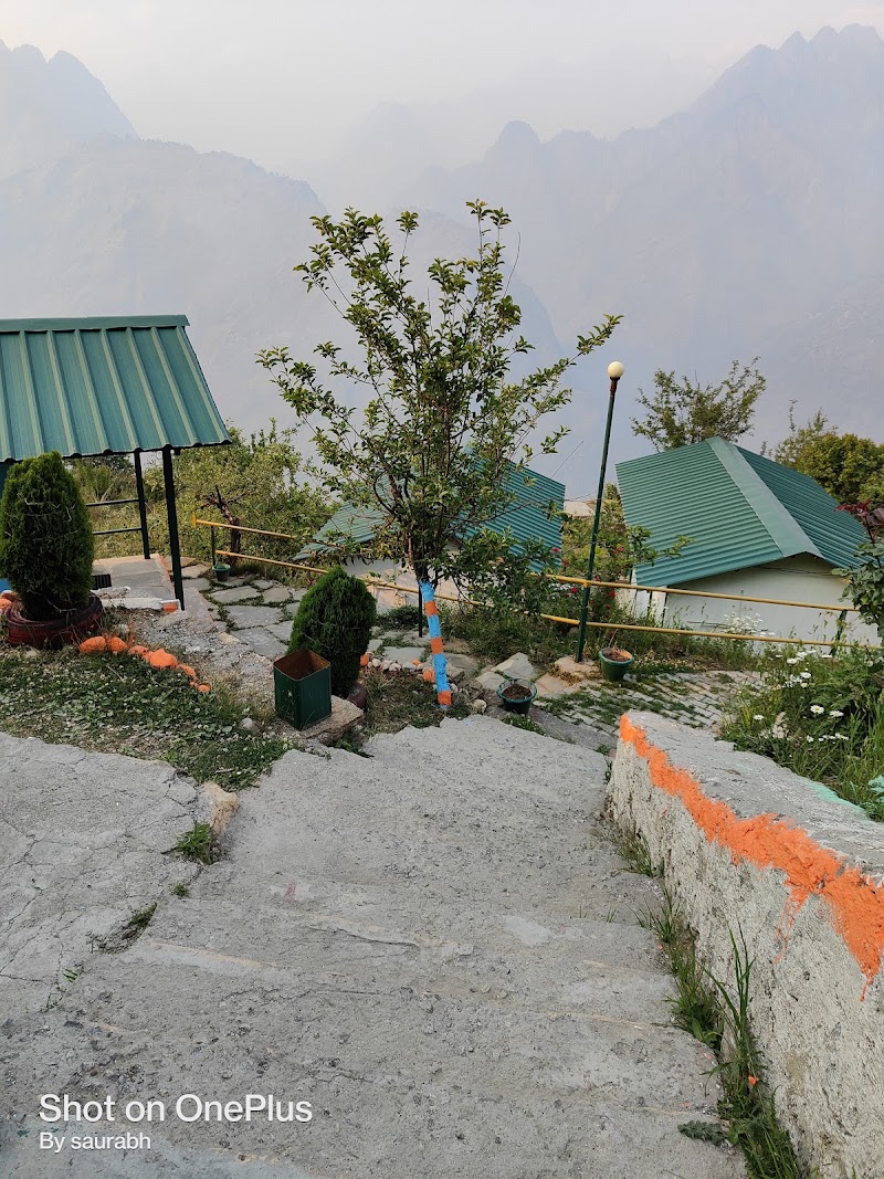Auli Eco Nature Resort - Auli Eco Nature Resort Auli Rd, Lower Auli, Joshimath, Uttarakhand 246443, India