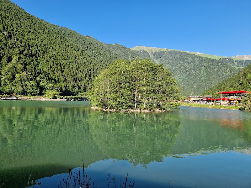Uzungol Observation Deck