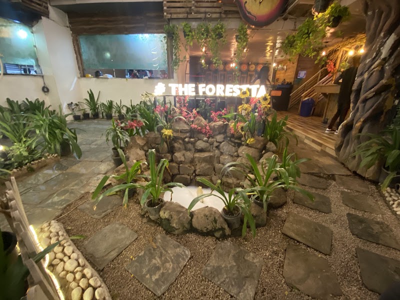 The Forestta - Best Cafe in Gurgaon - The Forestta - Best Cafe in Gurgaon sarsawti kunj, Plot No 27, Golf Course Rd, opposite Alchemist Hospital, Suncity, Sector 54, Gurugram, Haryana 122003, India