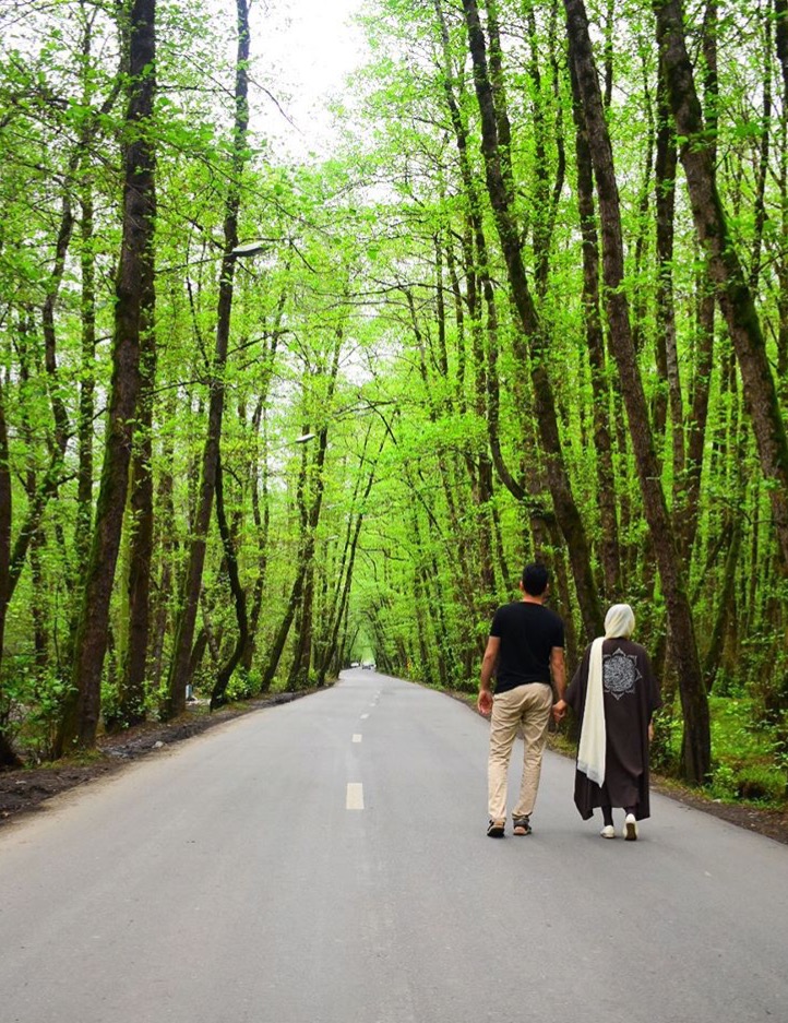 Gisoum Forest - Gisoum Forest, Gilan Province, Rasht, -talesh road,، M2CM+PQX, Iran