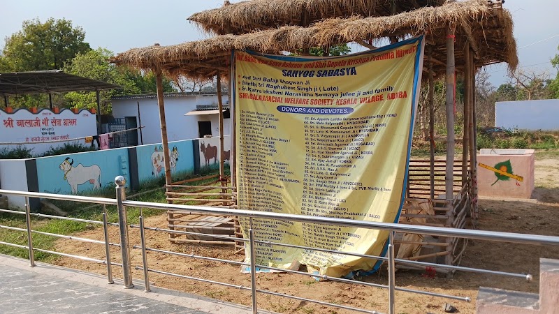 Sri Balaji Gau Seva Aashram - Sri Balaji Gau Seva Aashram, CR37+Q4, Korba, Chhattisgarh 495683, India