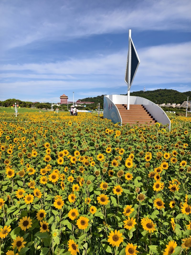 Dajia Riverside Park - Dajia Riverside Park No. 5號, Binjiang St, Xinzhuang Village, Zhongshan District, Taipei City, Taiwan 104