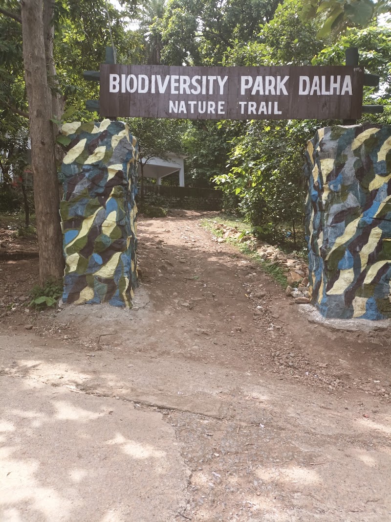 Tracking Initial Point for Dalha Mountain - Tracking Initial Point for Dalha Mountain 3CW5+XP7, Kosmanda, Chhattisgarh 495552, India