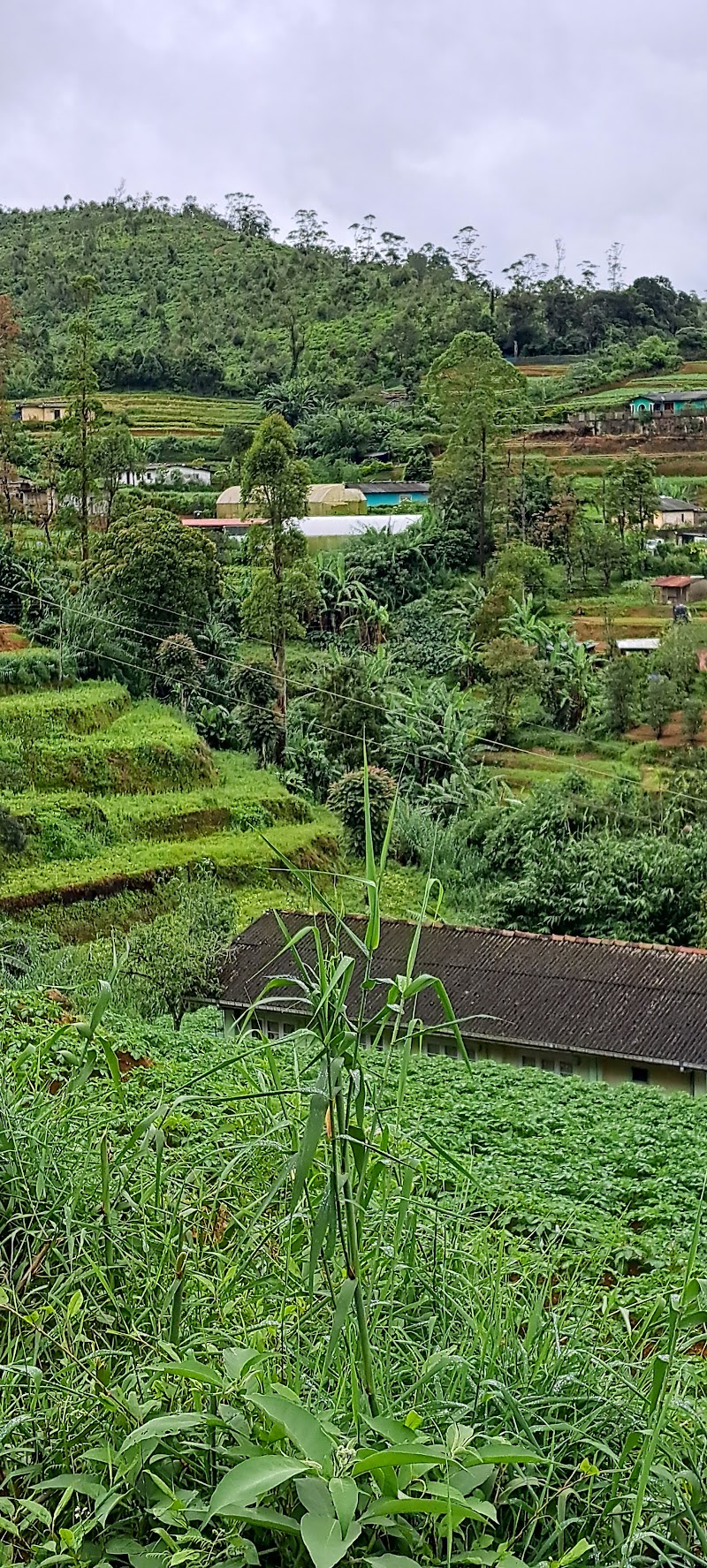 Ella - Ella, 46 Wellawaya-Ella-Kumbalwela Hwy, Ella, Sri Lanka