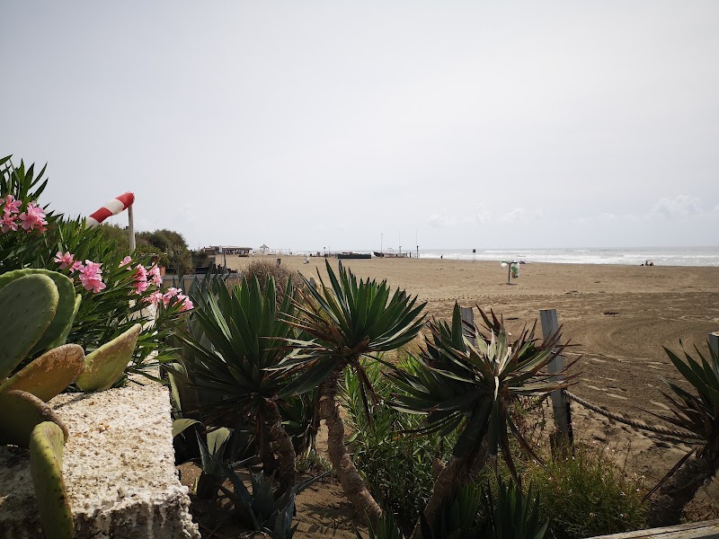 Spiaggia libera di Fregene - Spiaggia libera di Fregene, Via Silvi Marina, 165, 00054 Fregene RM, Italy