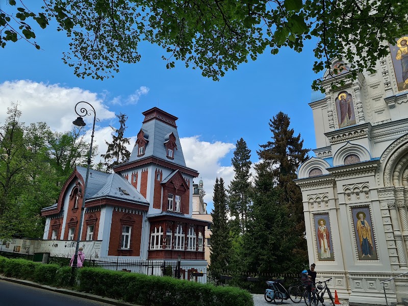 Saint Peter and Paul Cathedral - Saint Peter and Paul Cathedral, Krále Jiřího 2c, 360 01 Karlovy Vary-Karlovy Vary 1, Czechia