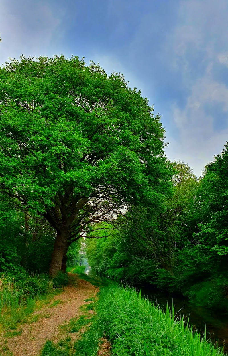Beringe - Beringe, Netherlands