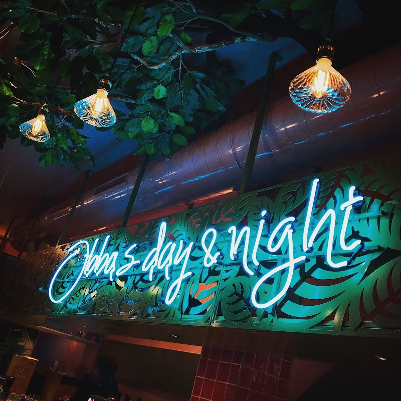 Obba's Day & Night - Obba's Day & Night, Witte de Withstraat 79-A, 3012 BN Rotterdam, Netherlands