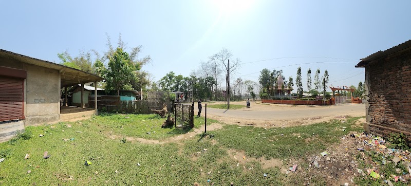 Gatoonga Tea Estate - Gatoonga Tea Estate, M43F+F74, Gatoonga, Dholajan Grant, Assam 785616, India