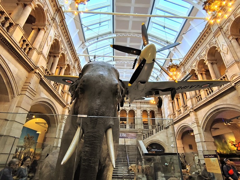 Kelvingrove Art Gallery and Museum - Kelvingrove Art Gallery and Museum Argyle St, Glasgow G3 8AG, UK