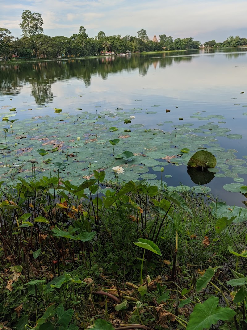 Joy Sagar Lake - Joy Sagar Lake, Tank, Joysagar, Dicial Dhulia Gaon, Assam 785665, India