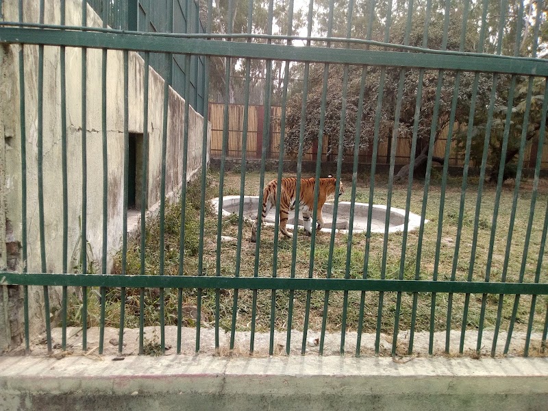 Kota Zoological Park - Kota Zoological Park Abhera Palace, Nanta Road, Chatra Vilas Garden, Nayapura, Kota, Rajasthan 323021, India