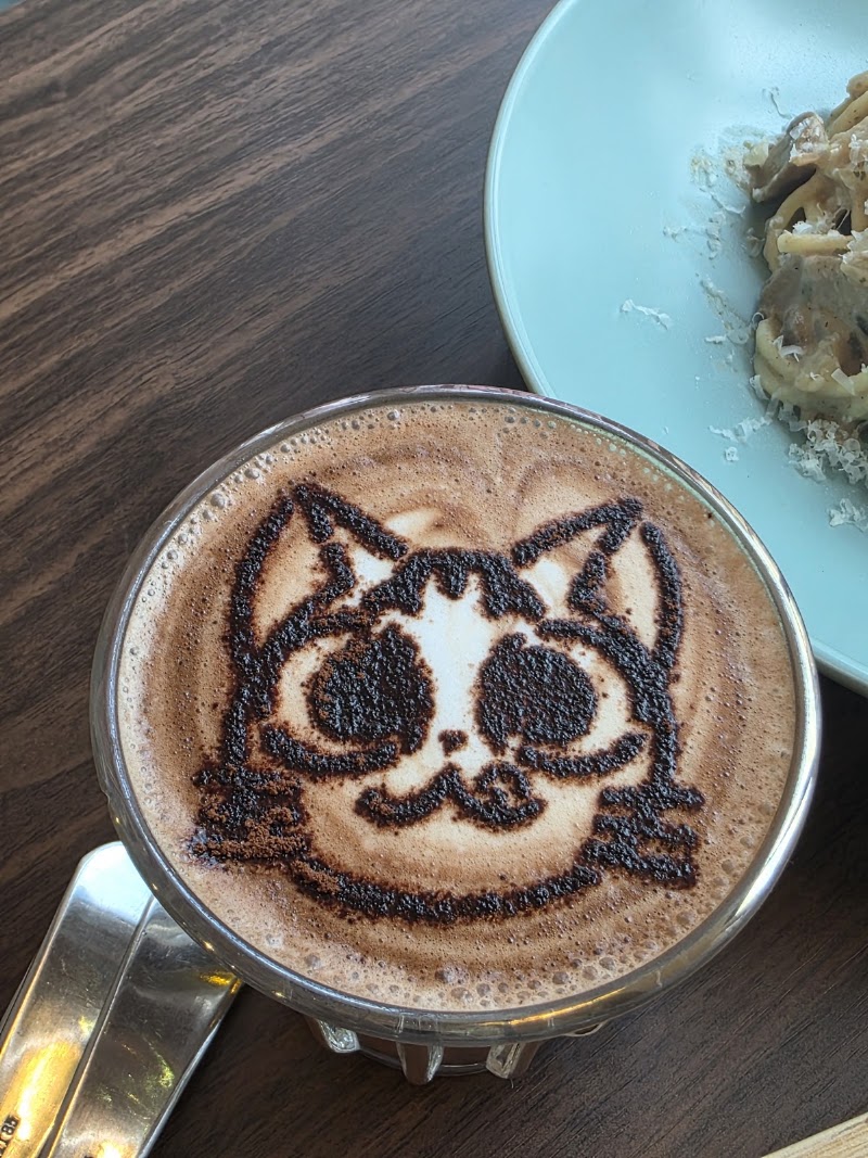 QQ Cats & Cafe - QQ Cats & Cafe 262 Balestier Rd, #01-03, Singapore 329714