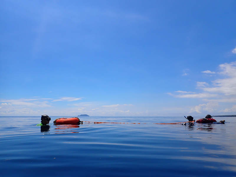 Dumagat Freedive - Dumagat Freedive, La Independencia St, Dauin, 6217 Negros Oriental, Philippines