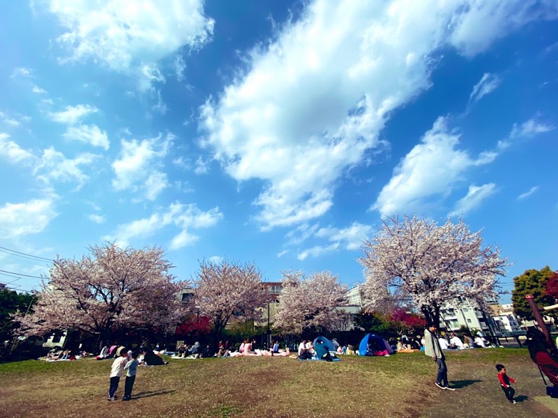 Shinjuku City Tomihisa Sakura Park