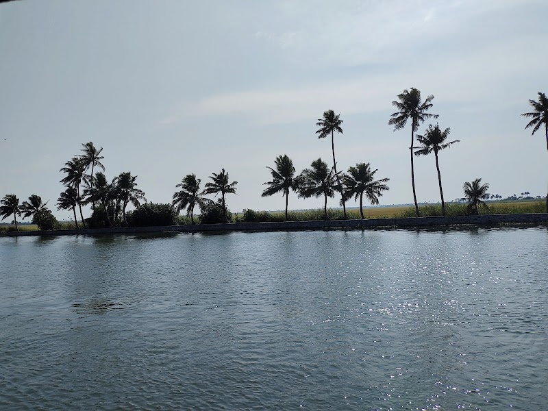 KTDCS KERALA (Kuttanad Tourism Development Co-Operative Society) - KTDCS KERALA (Kuttanad Tourism Development Co-Operative Society) G82Q+8G4, Alappuzha, Kerala 688001, India