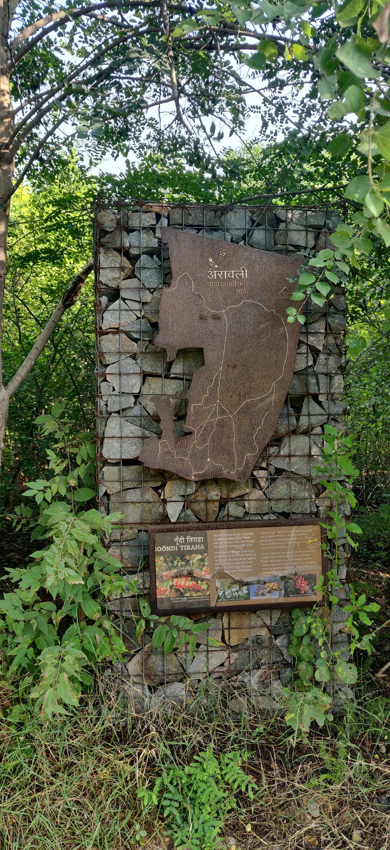 Aravali Biodiversity Park - Aravali Biodiversity Park F4J6+PJ4, Acharya Shree Tulsi Marg, DLF Phase 3, Sector 24, Gurugram, Haryana 122002, India
