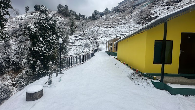 The Gypsy Soul Resort Kanatal - The Gypsy Soul Resort Kanatal, kaddukhal Surkanda Devi, Post office Kanatal, near PWD Guest House, Kanatal, Saklana Range, Uttarakhand 249145, India