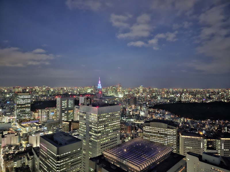 Tokyo Metropolitan Government Building | North Observation Deck - Tokyo Metropolitan Government Building | North Observation Deck Japan, 〒163-8001 Tokyo, Shinjuku City, Nishishinjuku, 2-chōme−8−１ Tochomae Station, 45F
