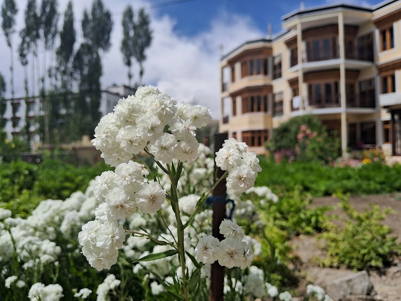 Zaltak Guest House And Hostel - Zaltak Guest House And Hostel Upper Tukcha Rd, near Hotel Gawaling, Leh, 194101