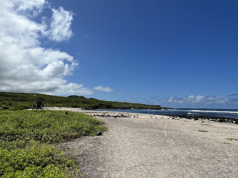 Playa Lobería - Playa Lobería, frente ala pista del avion, 39FQ+77Q, Puerto Baquerizo Moreno, Ecuador