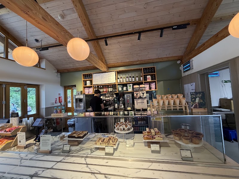 Primrose Hill Café - Primrose Hill Café, A5205, London NW8 7LS, UK