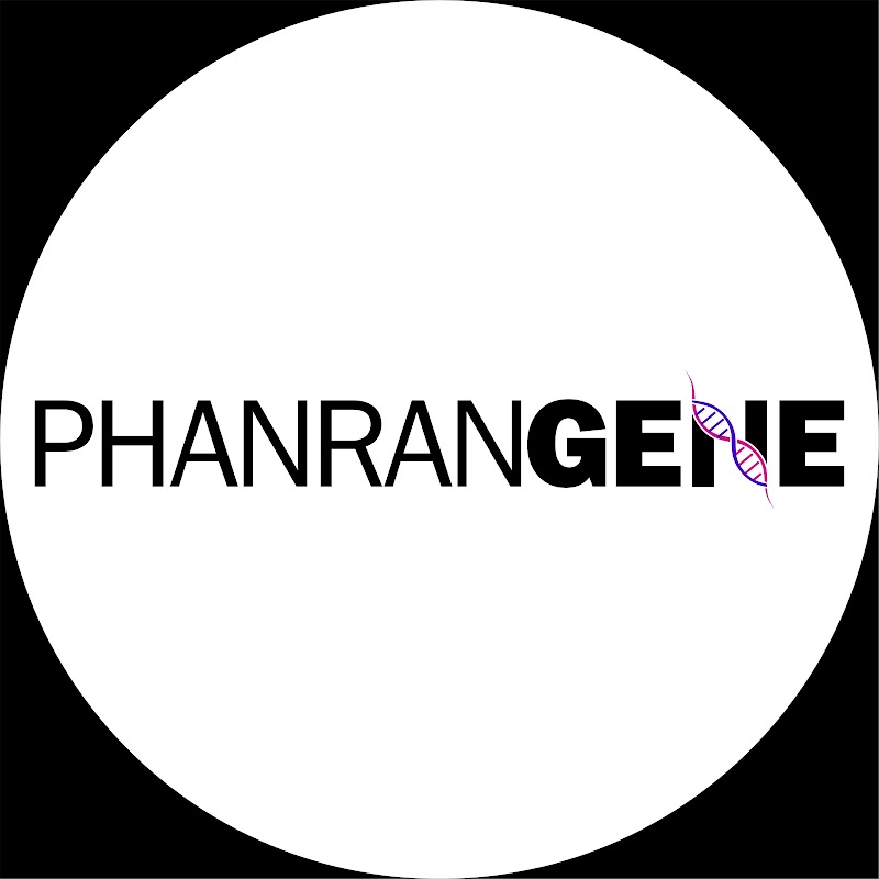 PHANRANGENE - PHANRANGENE Little HongKong - Bình Sơn Ocean Park, Khu K2, Đông Hải, Khánh Hòa 59115, Vietnam