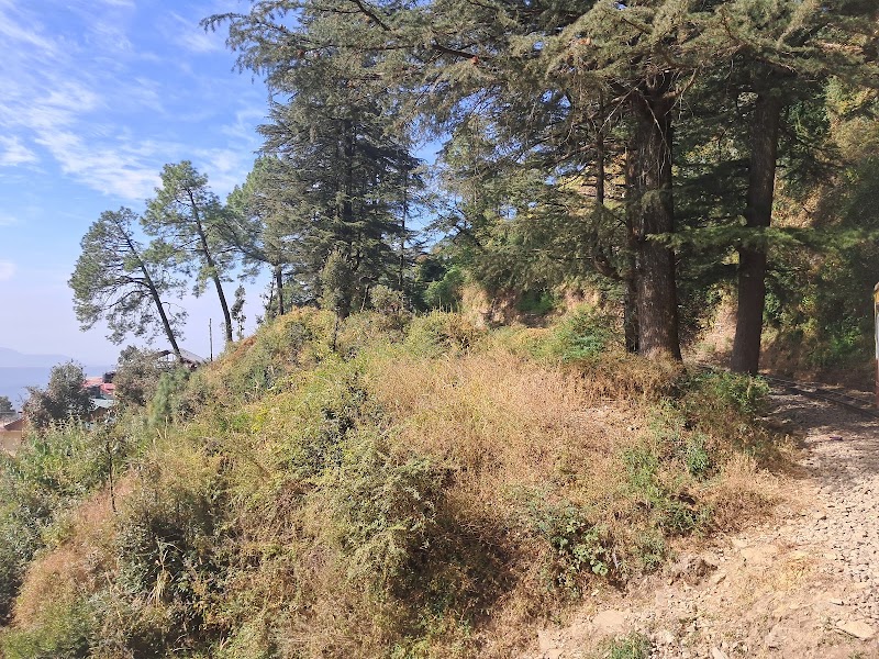 Sunset point , New Totu Shimla - Sunset point , New Totu Shimla Totu Power House Road, New Totu, Totu, Shimla, Himachal Pradesh 171011, India