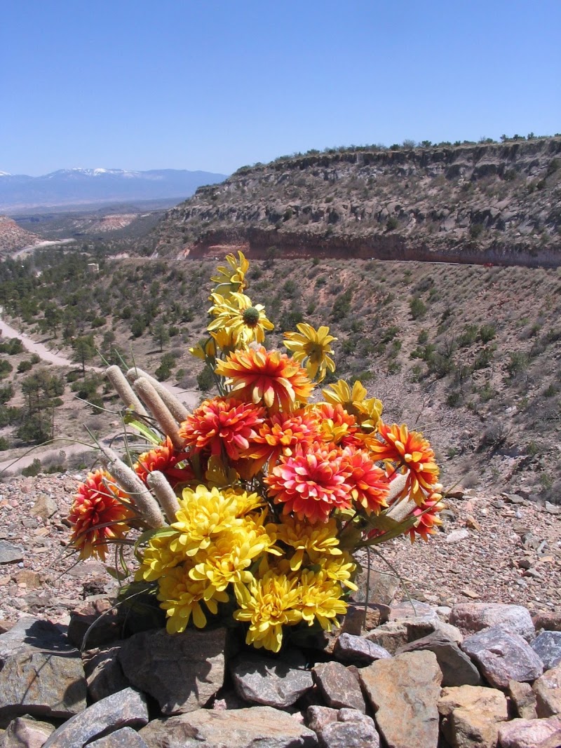 Los Alamos - Los Alamos, NM 87544, USA