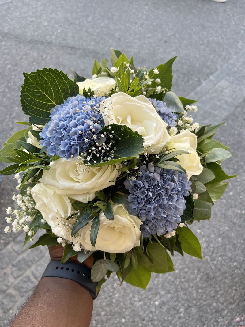 Blumen Sappi - Blumen Sappi Grünmarkt vor der Kirche, Universitätspl., 5020 Salzburg, Austria