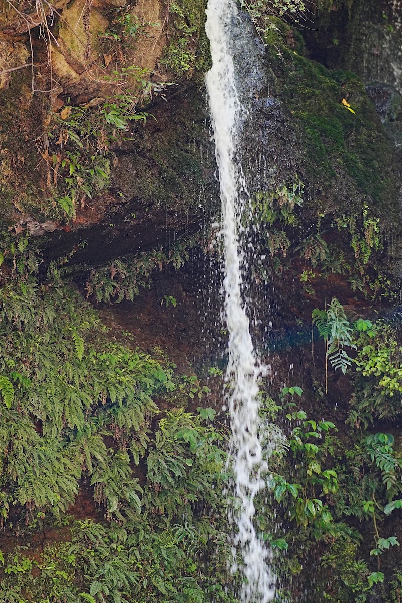 Shoja Waterfall Track Starting Point - Shoja Waterfall Track Starting Point, NH305, Sajwar, Himachal Pradesh 175123, India