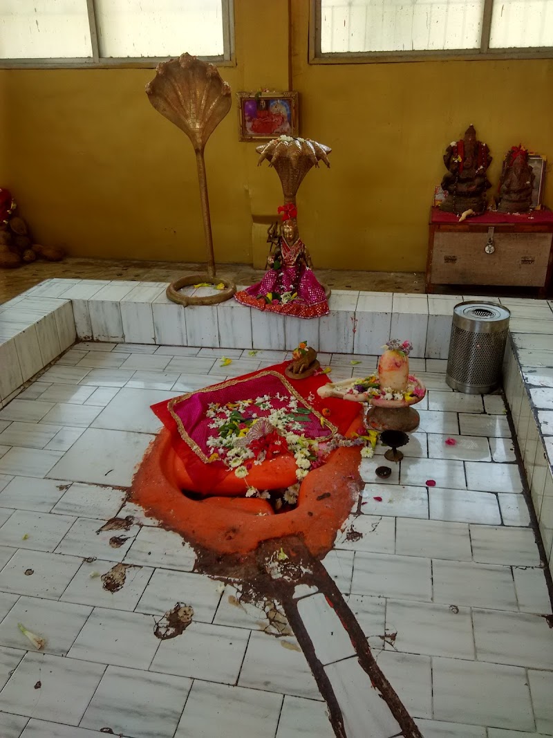 Ratnakala Balraj Trust Nag Baba Temple - Ratnakala Balraj Trust Nag Baba Temple, 4X4X+PJM, Hingna Rd, IC Chowk, Gagam Layout, Lokmanya Nagar, Nagpur, Maharashtra 441110, India