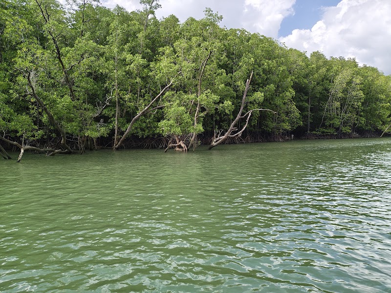 The bay tour บริการเรือนำเที่ยว - The bay tour บริการเรือนำเที่ยว, 7CFW+9F8 111 Tambon Kalai, Amphoe Takua Thung, Chang Wat Phang-nga 82130, Thailand