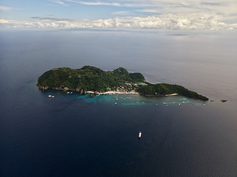 Apo Island - Apo Island, Dauin, 6217 Negros Oriental, Philippines