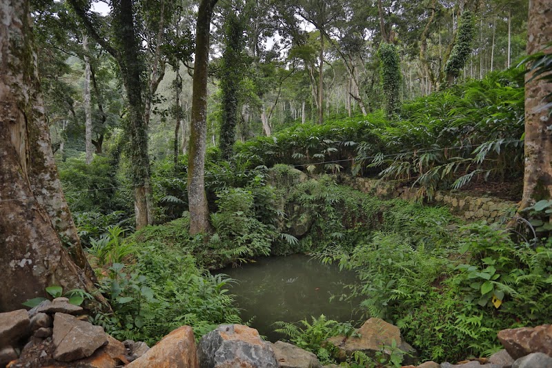 Double Trees Staycation - Double Trees Staycation chirackel h pottankadu p.o 20acre, Munnar, Kerala 685565, India