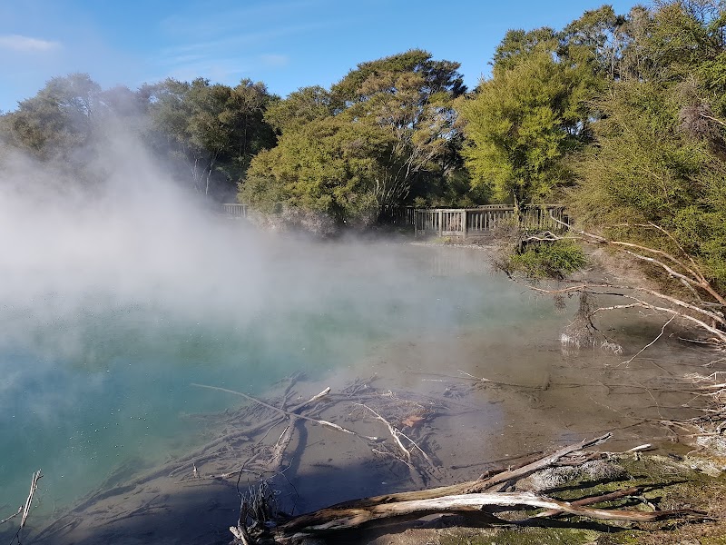 Kuirau Park Footbaths - Kuirau Park Footbaths 2 Kuirau Street, Rotorua 3010, New Zealand