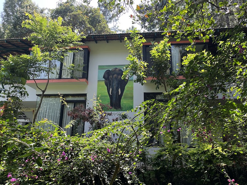 Giridarshini - Giridarshini,temple main road, Biligiriranganabetta, Karnataka 571441, India
