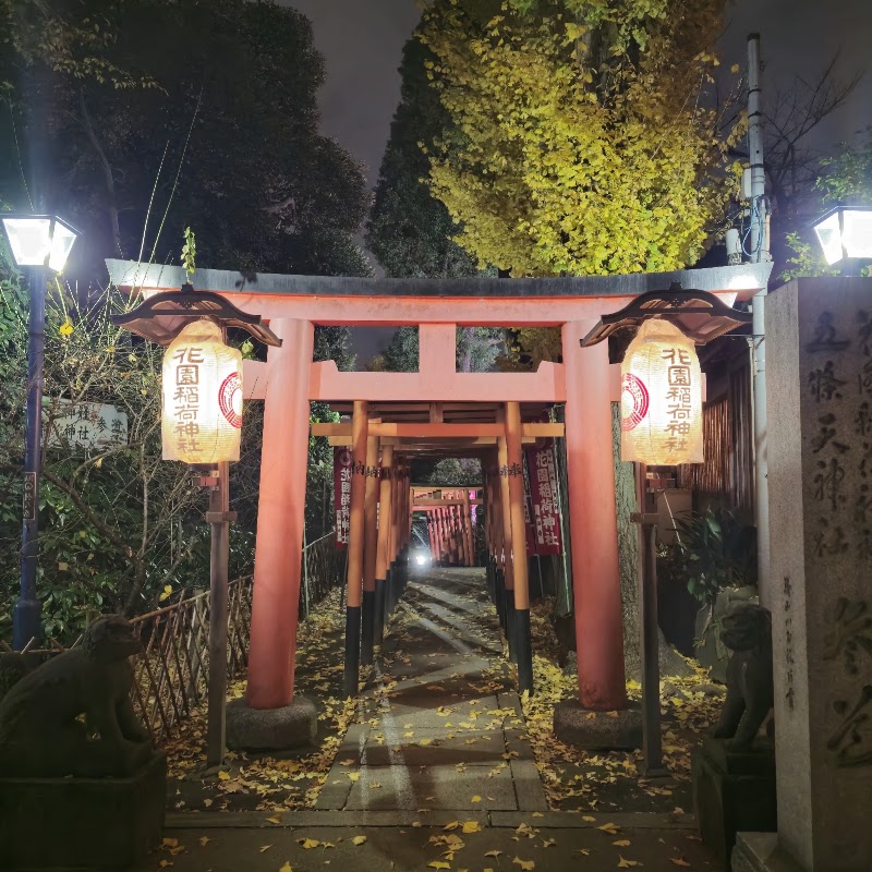 Ueno Park - Ueno Park 5-20 Uenokōen, Taito City, Tokyo 110-0007, Japan