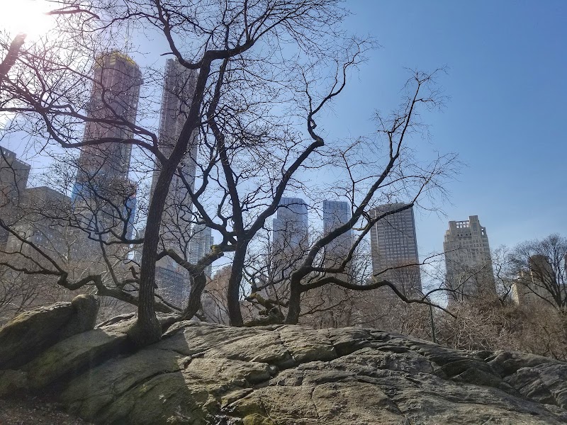 Central Park South - Central Park South Central Park S, New York, NY, USA