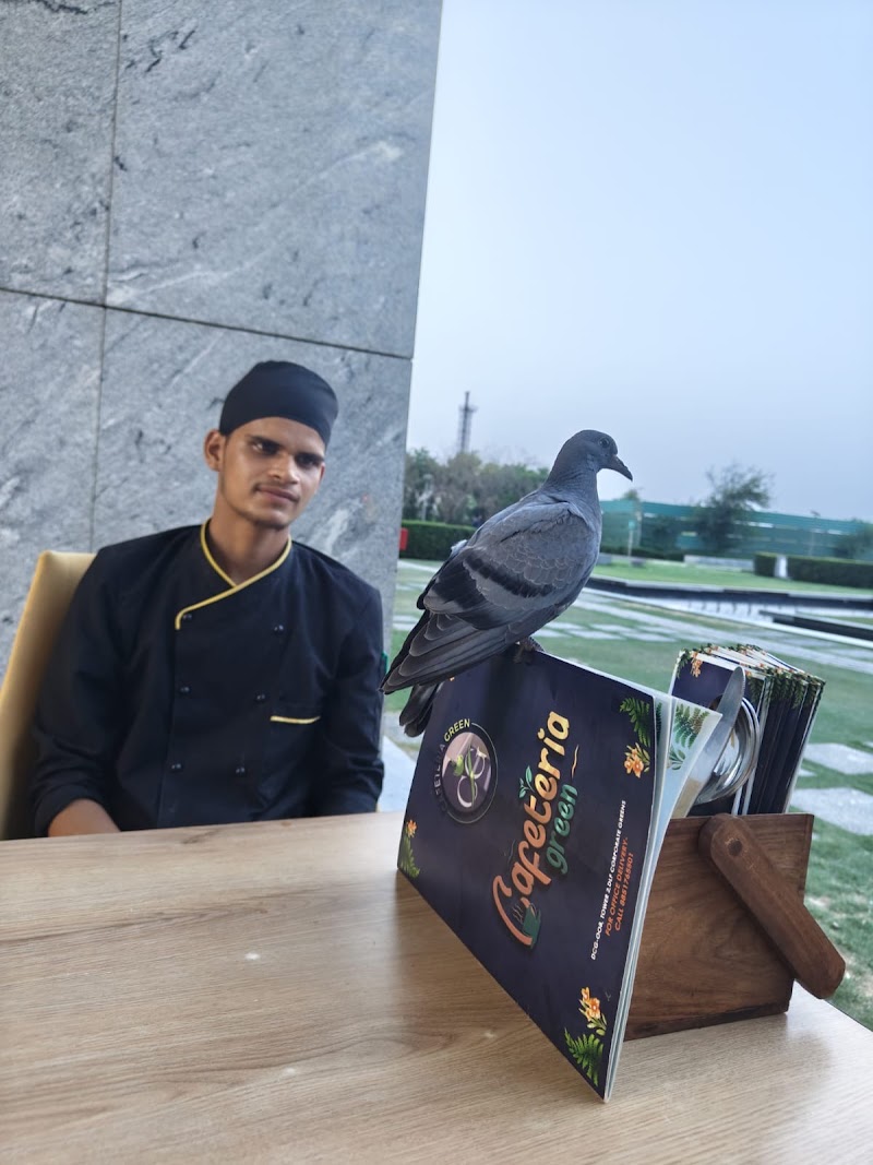 Cafeteria Green - Cafeteria Green Shop 8, DLF CORPORATE GREENS, Sector 74, Gurugram, Haryana 122004, India
