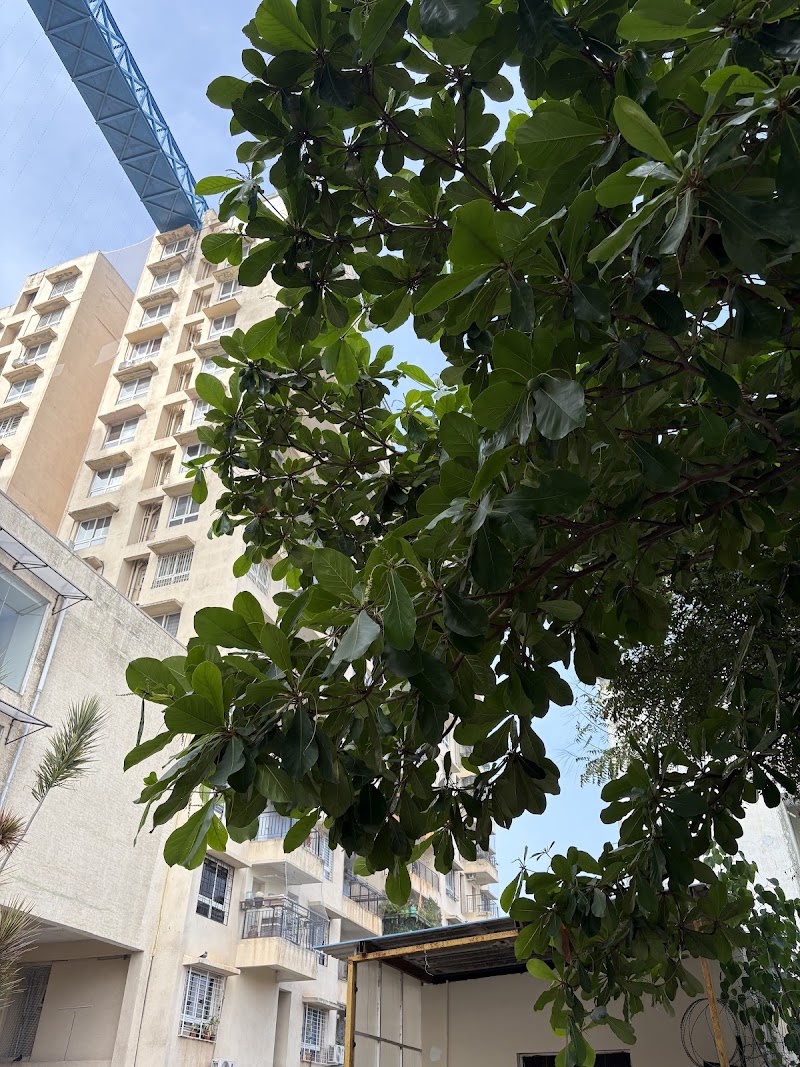 Plama Heights - Plama Heights, North, Punappa Layout, Hennur Gardens, corrs, Bengaluru, Karnataka 560043, India
