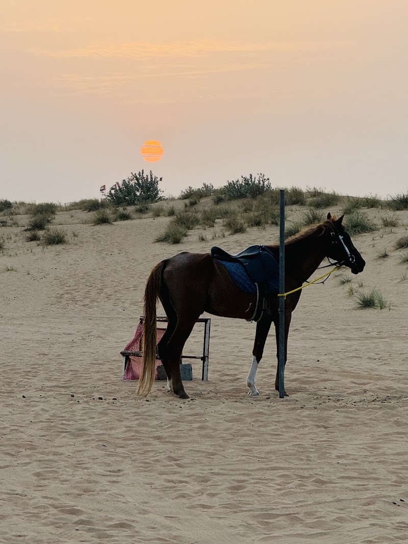 Royal Edge Tourism LLC - Royal Edge Tourism LLC, Al Wuheida St - abu hail - Deira - Dubai - United Arab Emirates
