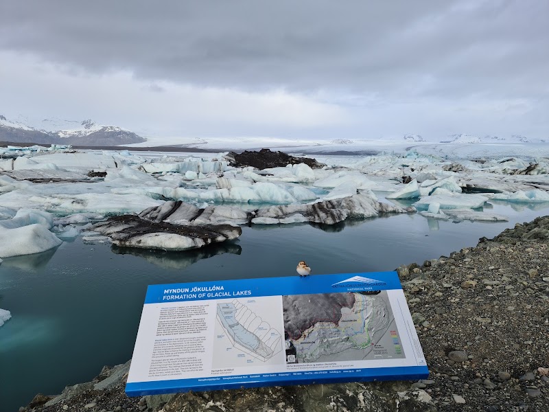 Jökulsárlón - Jökulsárlón Jökulsárlón, 781, Iceland