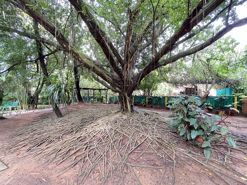 Hoysala Village Resort - Hoysala Village Resort Survey No. 357, 1/2, Belur Road, Handinkere Village, JH Kere PO, 23P7+39M, Hosahalli, Hoovinahalli Kaval, Handinakere, Karnataka 573217, India